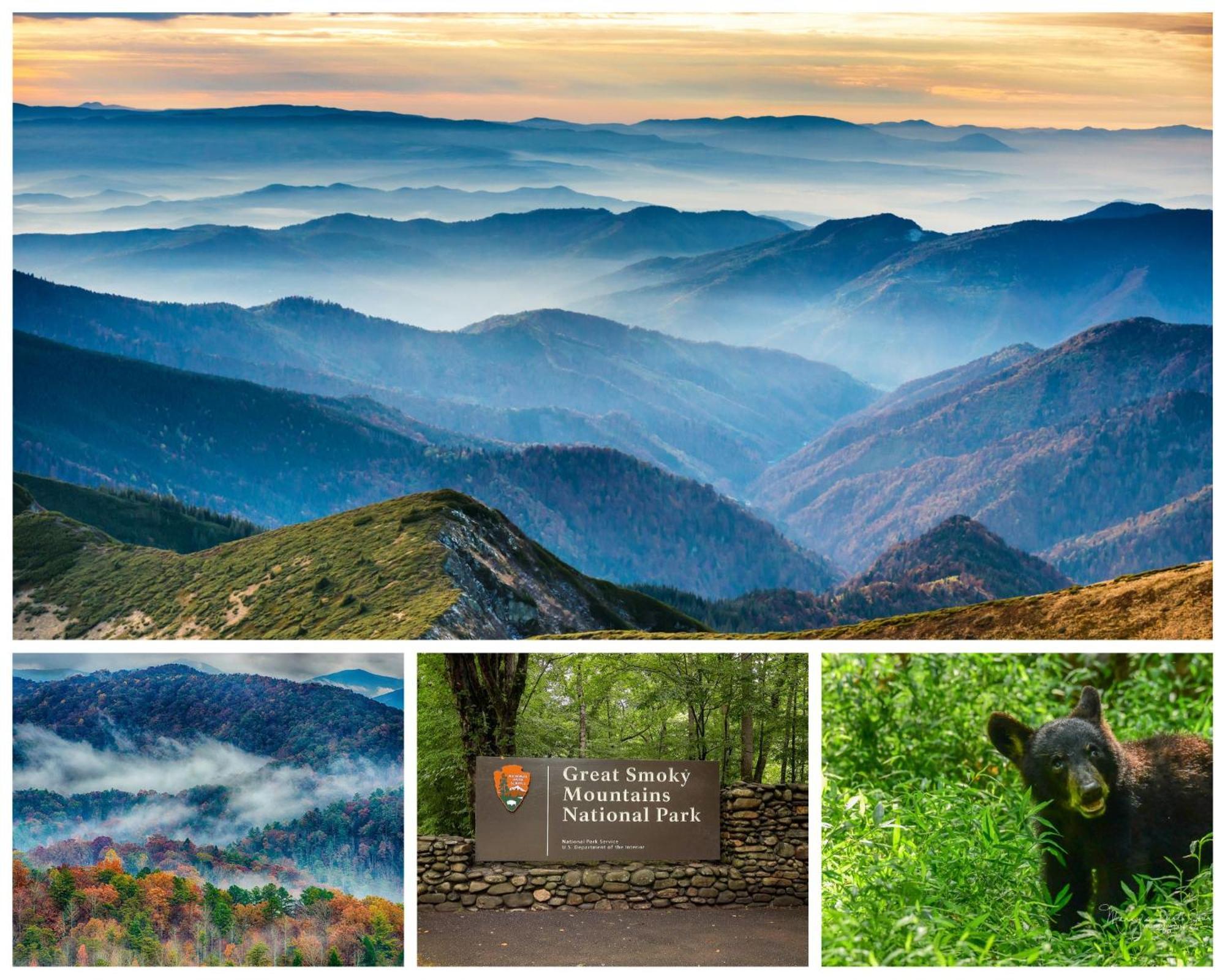 Serenity, A Rustic Log Cabin Retreat Sevierville Ngoại thất bức ảnh